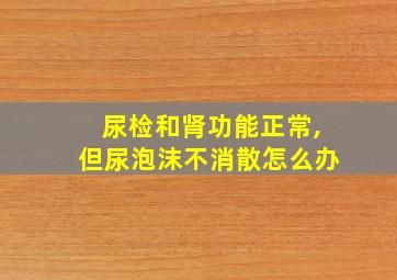 尿检和肾功能正常,但尿泡沫不消散怎么办