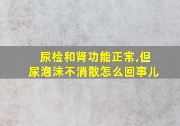 尿检和肾功能正常,但尿泡沫不消散怎么回事儿