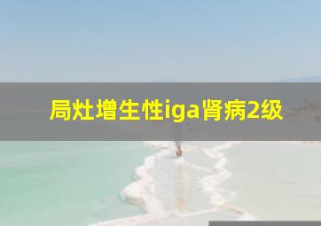 局灶增生性iga肾病2级