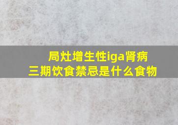 局灶增生性iga肾病三期饮食禁忌是什么食物