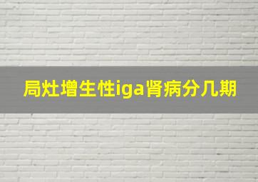 局灶增生性iga肾病分几期