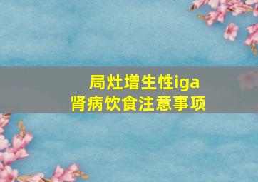 局灶增生性iga肾病饮食注意事项