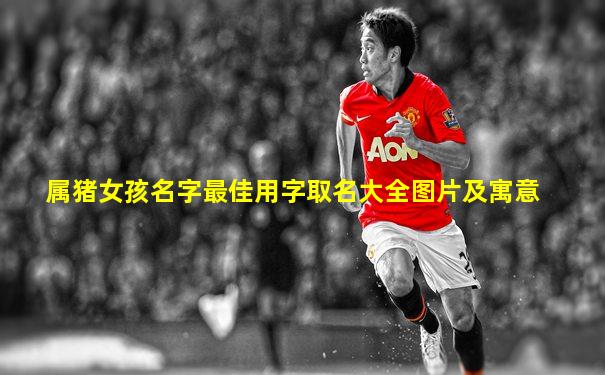 属猪女孩名字最佳用字取名大全图片及寓意