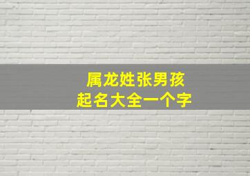 属龙姓张男孩起名大全一个字