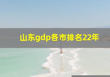 山东gdp各市排名22年