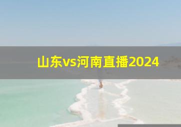 山东vs河南直播2024