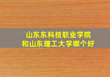 山东东科技职业学院和山东理工大学哪个好