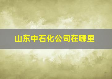 山东中石化公司在哪里