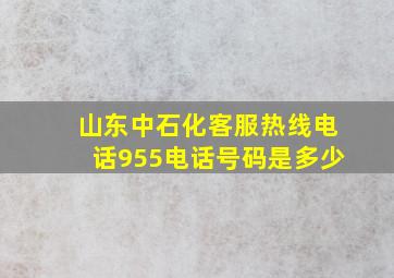 山东中石化客服热线电话955电话号码是多少