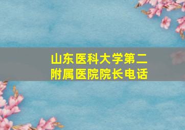 山东医科大学第二附属医院院长电话