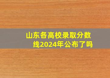 山东各高校录取分数线2024年公布了吗