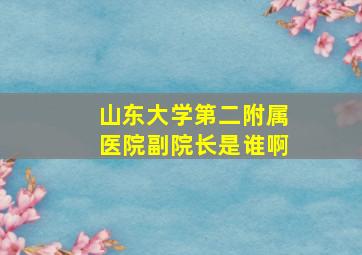 山东大学第二附属医院副院长是谁啊