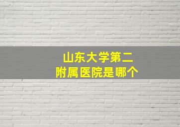 山东大学第二附属医院是哪个