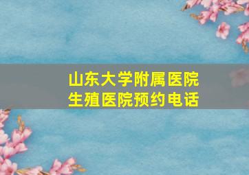 山东大学附属医院生殖医院预约电话