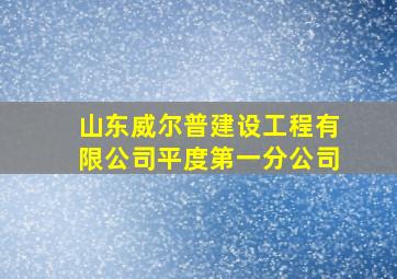 山东威尔普建设工程有限公司平度第一分公司