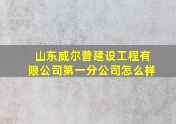 山东威尔普建设工程有限公司第一分公司怎么样