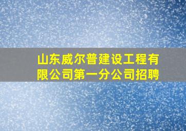 山东威尔普建设工程有限公司第一分公司招聘