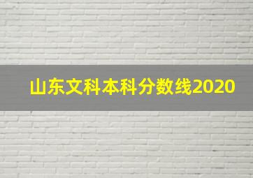 山东文科本科分数线2020