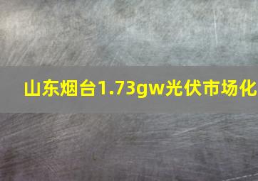 山东烟台1.73gw光伏市场化