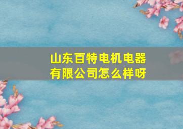 山东百特电机电器有限公司怎么样呀