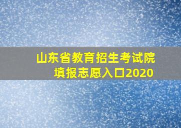 山东省教育招生考试院填报志愿入口2020