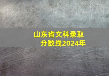 山东省文科录取分数线2024年