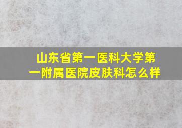 山东省第一医科大学第一附属医院皮肤科怎么样