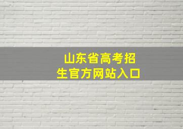 山东省高考招生官方网站入口