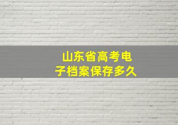 山东省高考电子档案保存多久