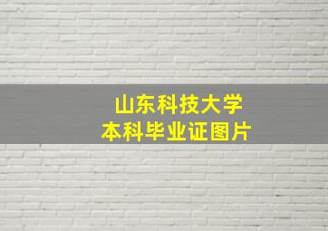 山东科技大学本科毕业证图片