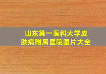 山东第一医科大学皮肤病附属医院图片大全