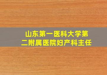 山东第一医科大学第二附属医院妇产科主任