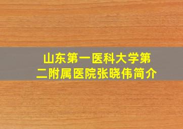 山东第一医科大学第二附属医院张晓伟简介