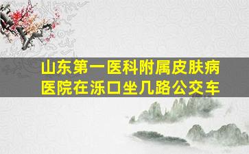 山东第一医科附属皮肤病医院在泺口坐几路公交车