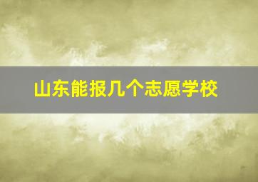 山东能报几个志愿学校