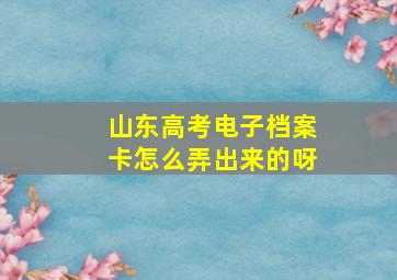 山东高考电子档案卡怎么弄出来的呀