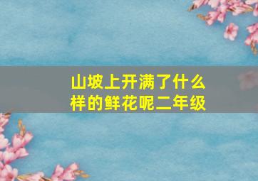 山坡上开满了什么样的鲜花呢二年级