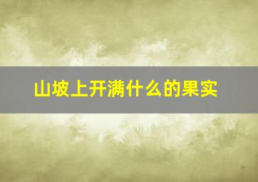 山坡上开满什么的果实