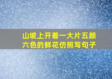 山坡上开着一大片五颜六色的鲜花仿照写句子