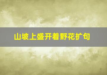 山坡上盛开着野花扩句