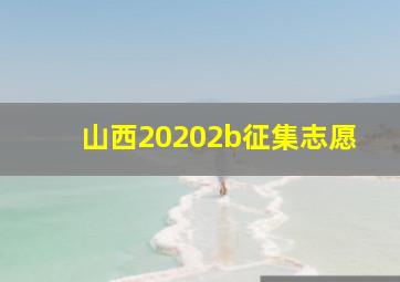 山西20202b征集志愿