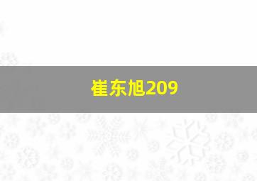 崔东旭209