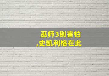 巫师3别害怕,史凯利格在此