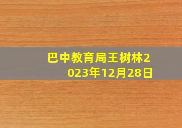 巴中教育局王树林2023年12月28日