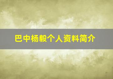 巴中杨毅个人资料简介