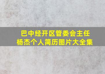 巴中经开区管委会主任杨杰个人简历图片大全集