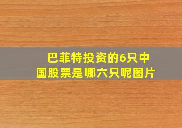 巴菲特投资的6只中国股票是哪六只呢图片