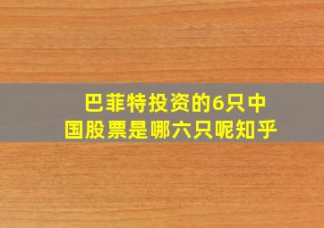 巴菲特投资的6只中国股票是哪六只呢知乎