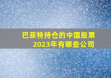 巴菲特持仓的中国股票2023年有哪些公司