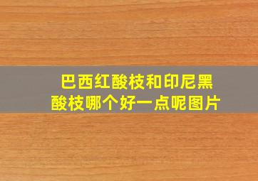 巴西红酸枝和印尼黑酸枝哪个好一点呢图片